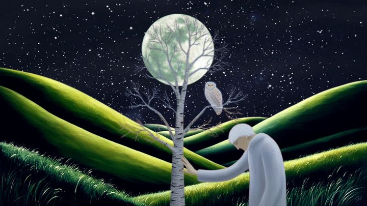 man standing under starry sky with hand on tree and owl in it too