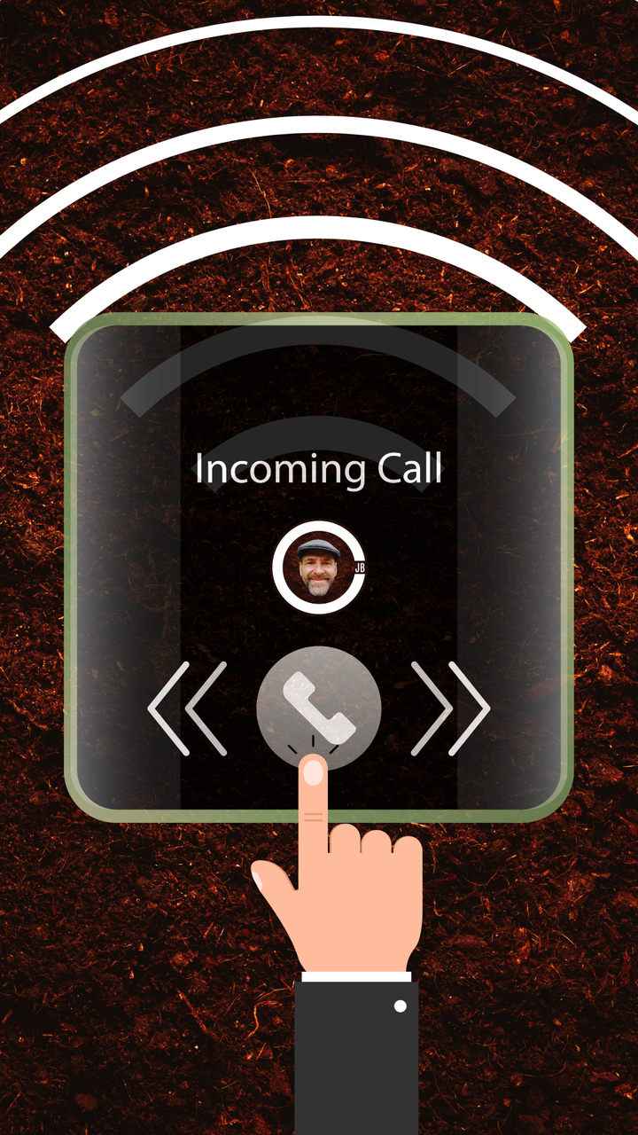 Seed Your Enigma Today!