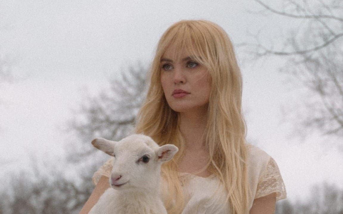 Wildflower by Zandi Holup