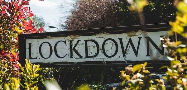 Global Pandemic: British Lockdown Diaries 2020