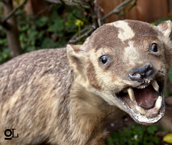 Dream big; do constructive delusion