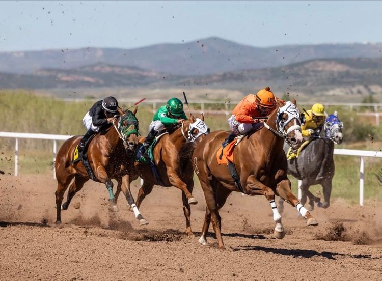 Wyoming Downs Racetrack: A Perfect Summer Stop Near Bear Lake