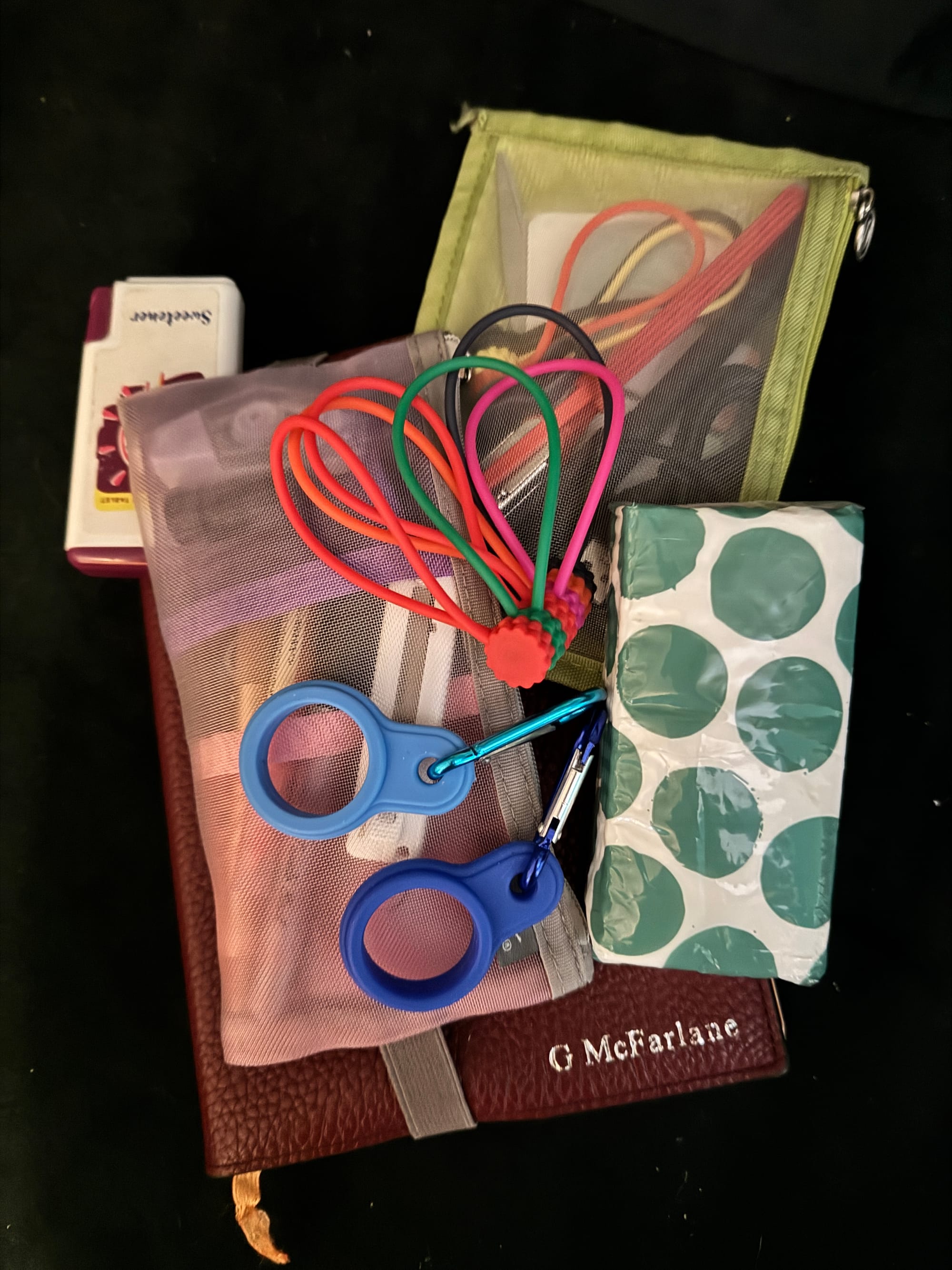 A bundle of things Gayle frequently carries around, including water bottle carabiners, cables for every possible device, stationery (just in case), sweeteners and tissues, sitting on top of a leather notebook with Gayle's name on the cover.