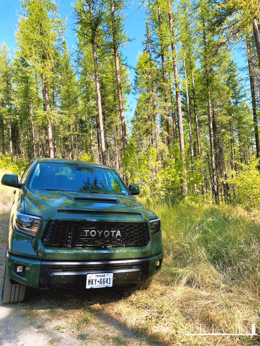 2020 Toyota Tundra TRD PRO