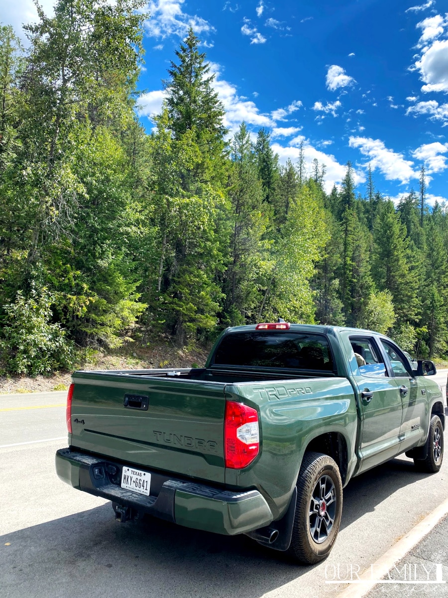 2020 Toyota Tundra TRD Pro Army Green
