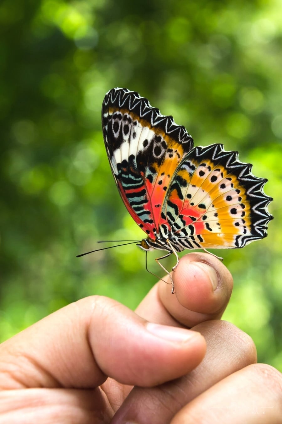 3 Reasons Not to Be Afraid of Change