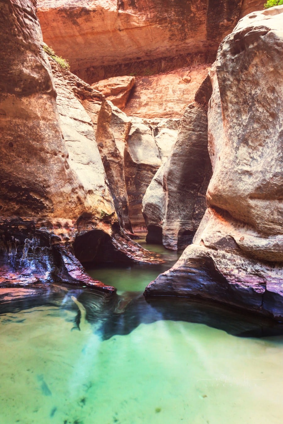 Creek in Zion National Park, Utah, USA