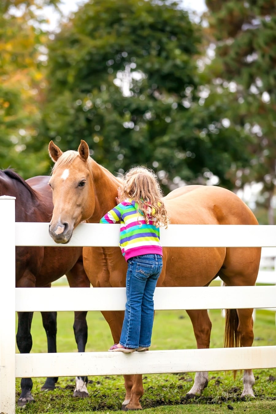 6 Interesting Places You Can Visit With Your Children - They'll Love It