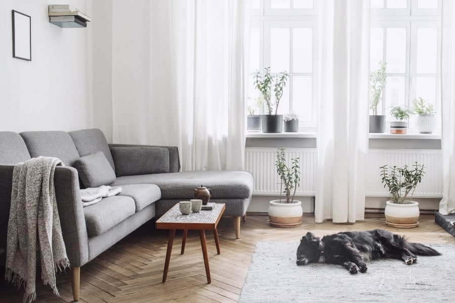 These 6 Things Can Improve the Overall Feel-Good Factor of Your Home