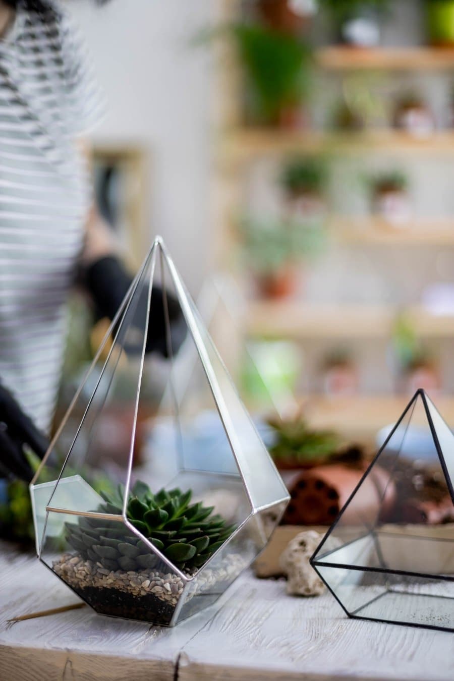 6 Tips For Eco-Friendly Flower Arrangements