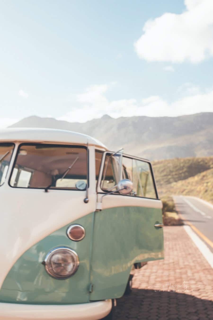 Woman on roadtrip standing outdoors on countryside road near a mini van.