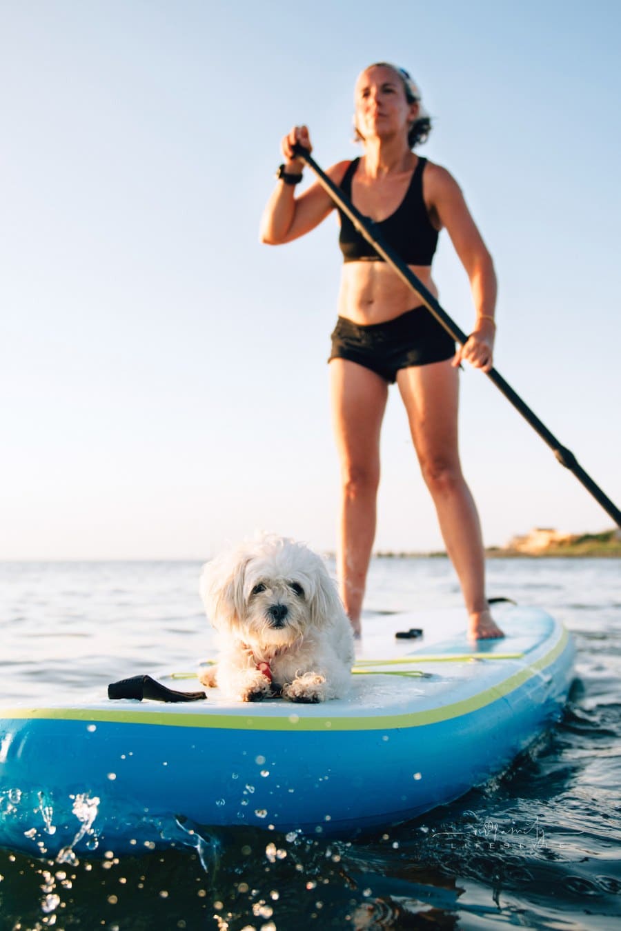 Woman Paddle Boarding with Maltese dog