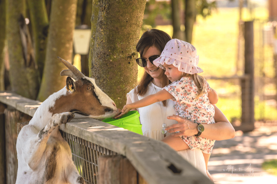 A person holding a baby and a deer