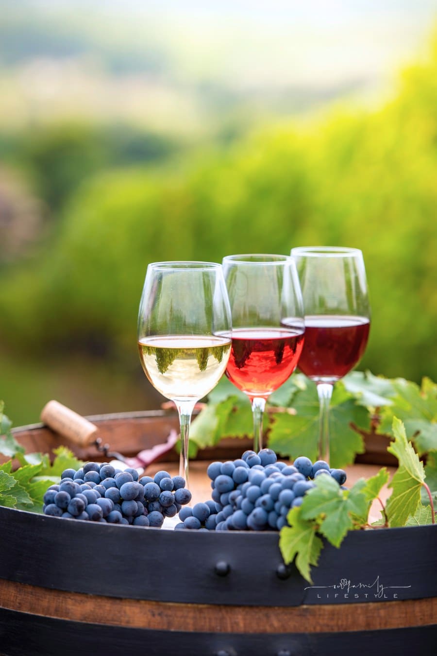three glasses of various wines sitting on a barrel at a vineyard