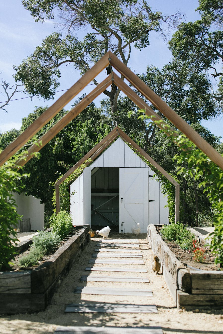 A quaint white shed surrounded by greenery under clear blue skies, showcasing natural beauty.