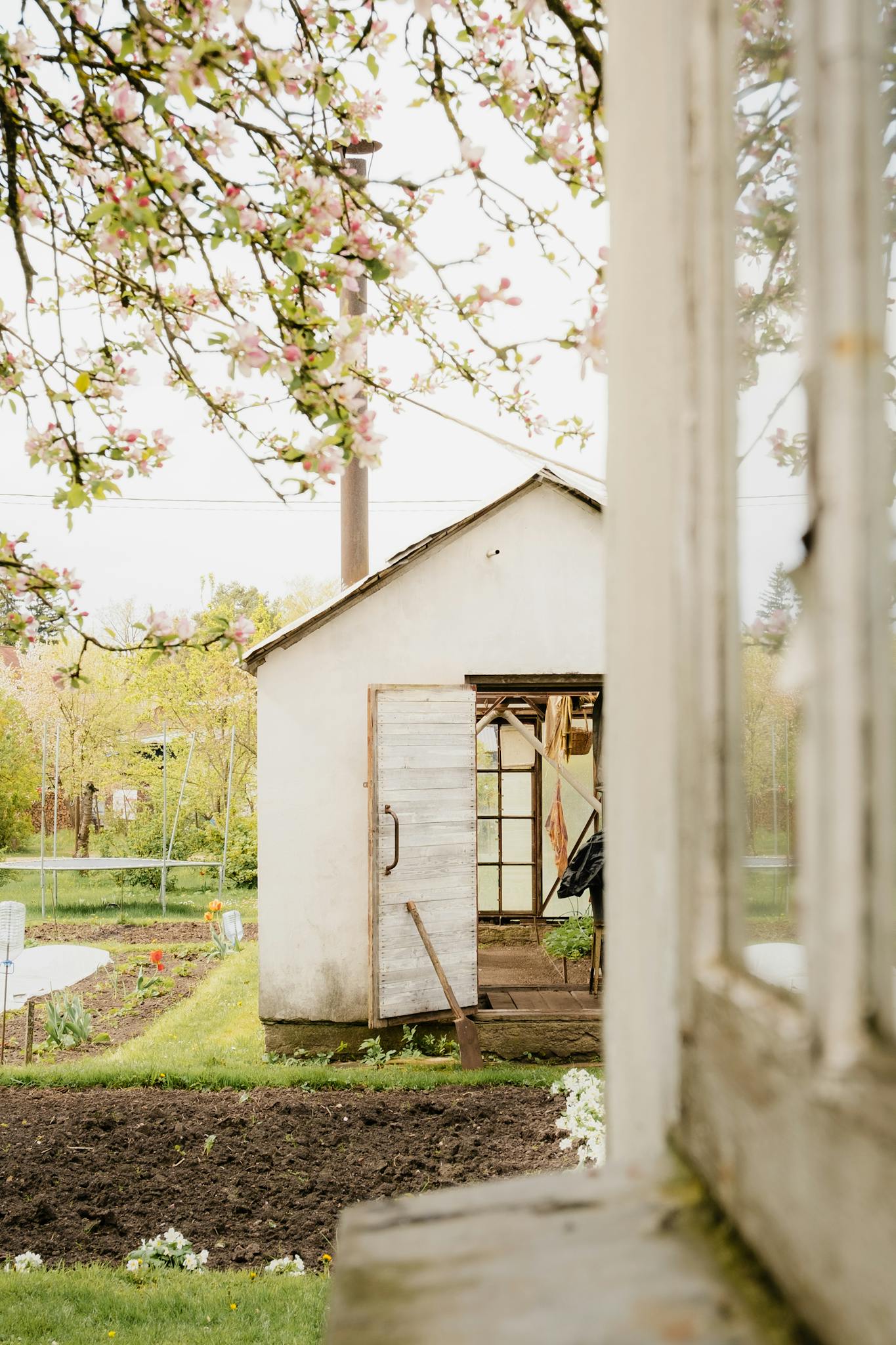 A rustic shed surrounded by blooming trees and garden, exuding a peaceful spring atmosphere.