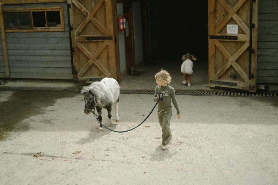 A young child leads a pony outside a wooden barn on a sunny day, capturing a serene farm scene.