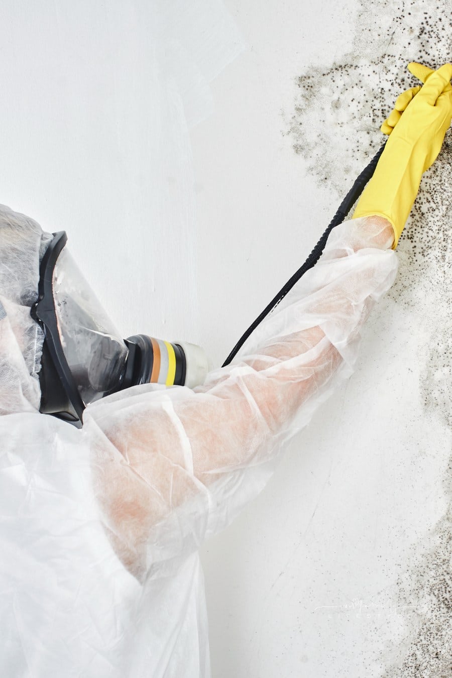 A professional disinfector in overalls processes the walls from mold. Removal of black fungus in the apartment and house. Aspergillus."