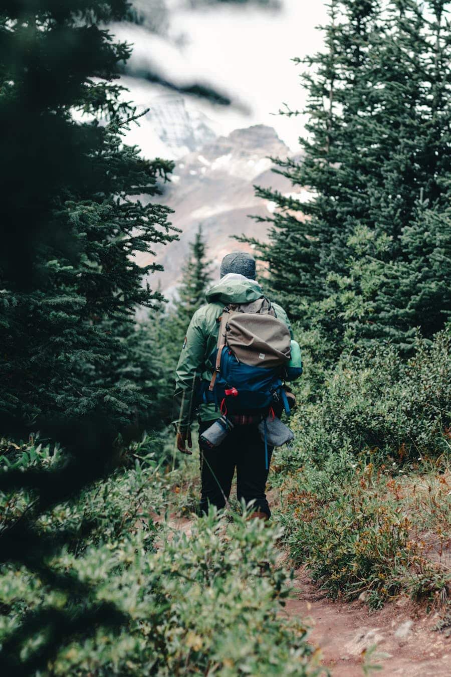 An adventurous backpacker hikes through a lush forest trail in Jasper National Park, Alberta, Canada.