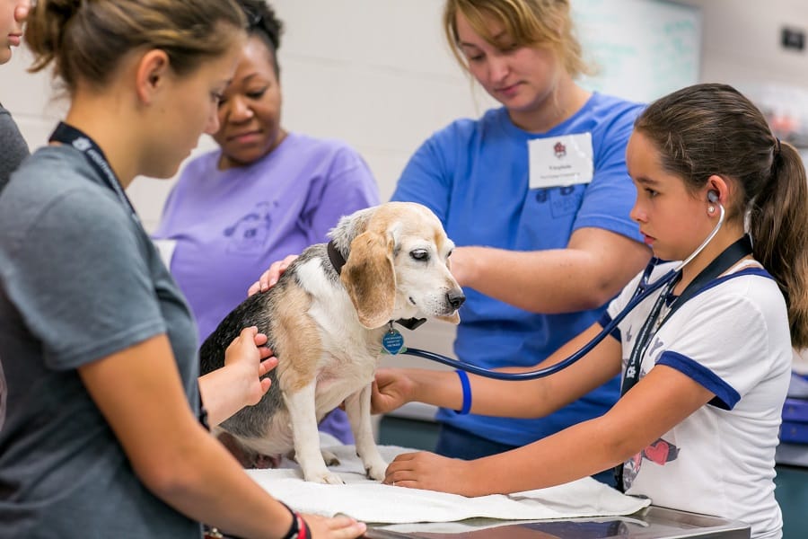 Auburn University's Junior Vet Camp