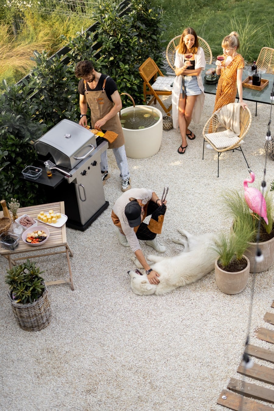 Friends hanging out together, grilling food, playing with a dog and drinking wine at backyard. Top view on a beautiful garden