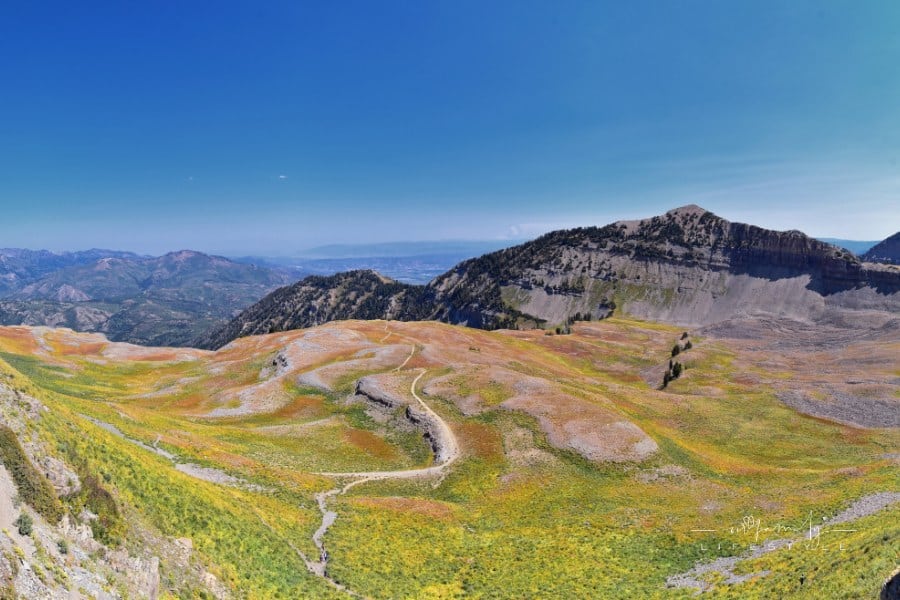 Uinta-Wasatch-Cache National Forest