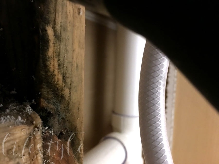 black mold in bathroom