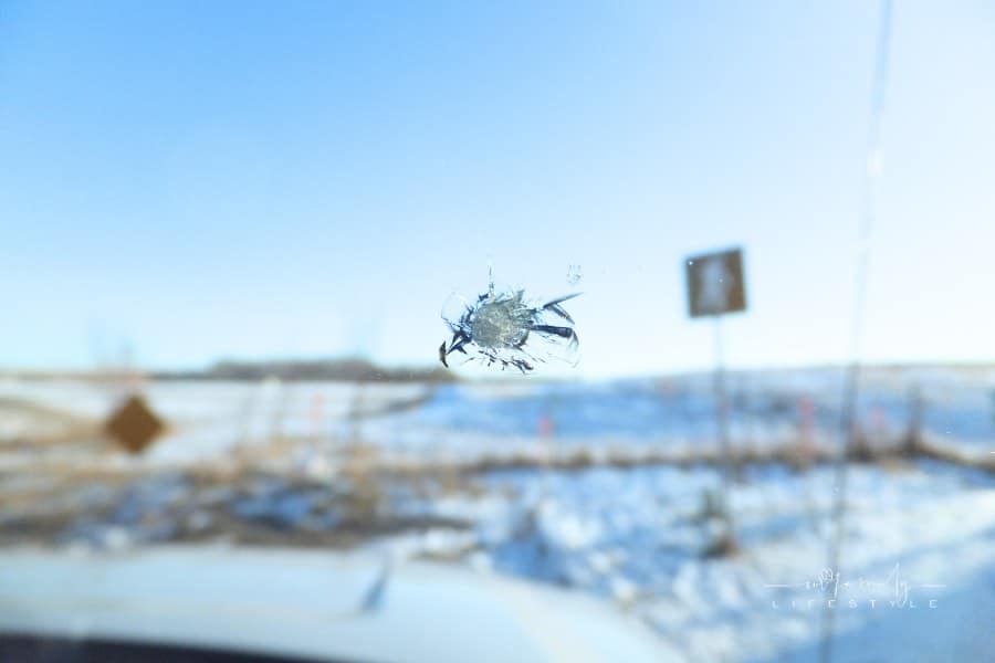 Cracked Windshield