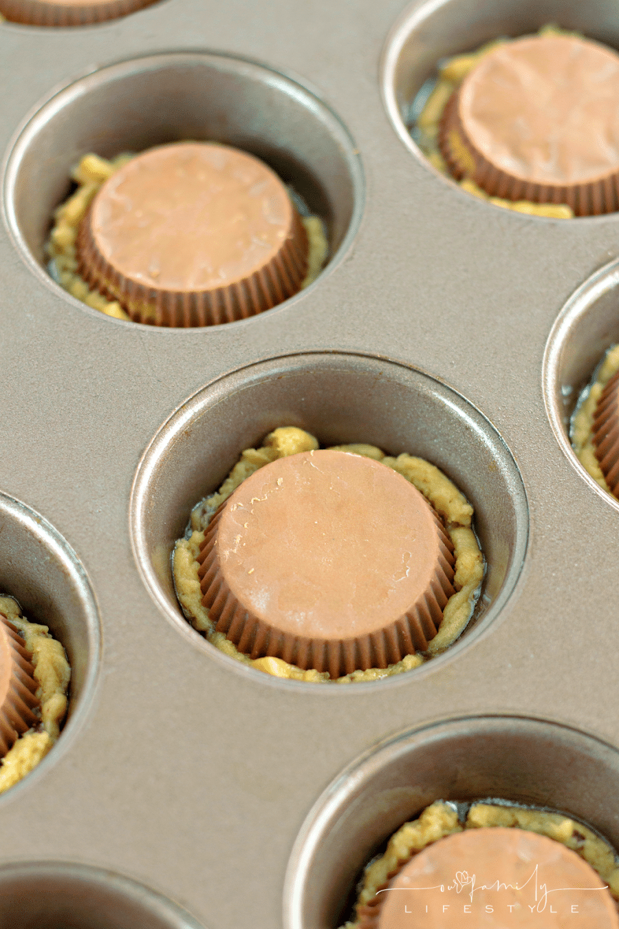 Chocolate Chip Brownies with Reeses cups