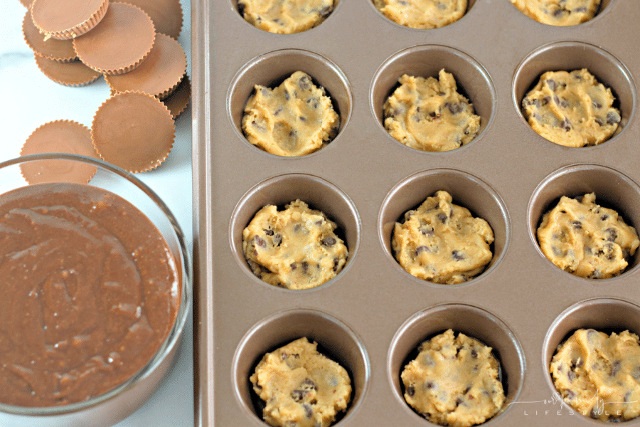 Chocolate Chip Cookie Dough Brookies