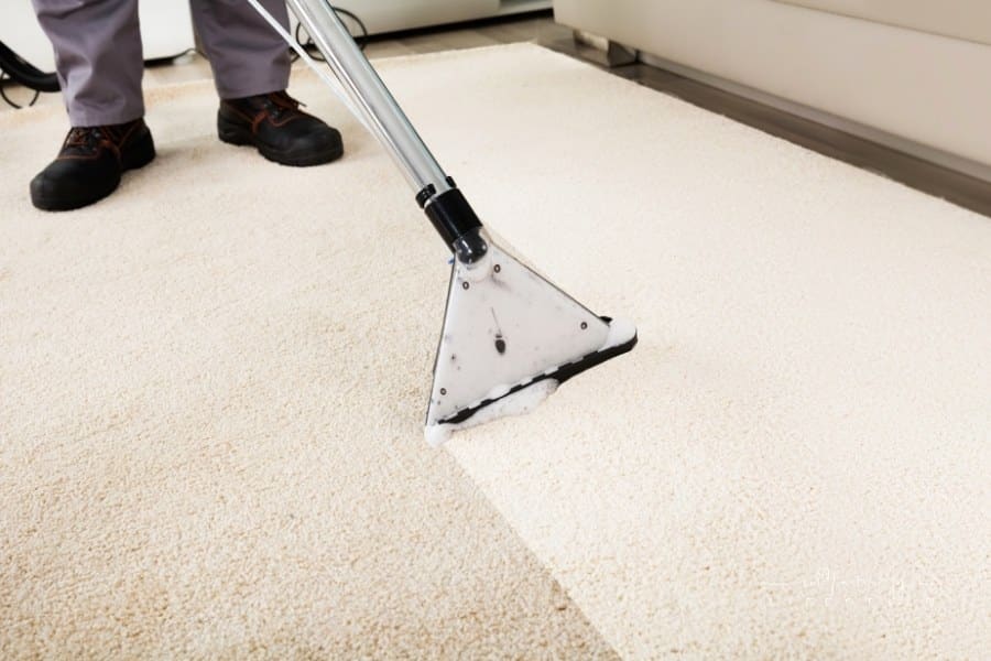 Person Cleaning Carpet With Vacuum Cleaner