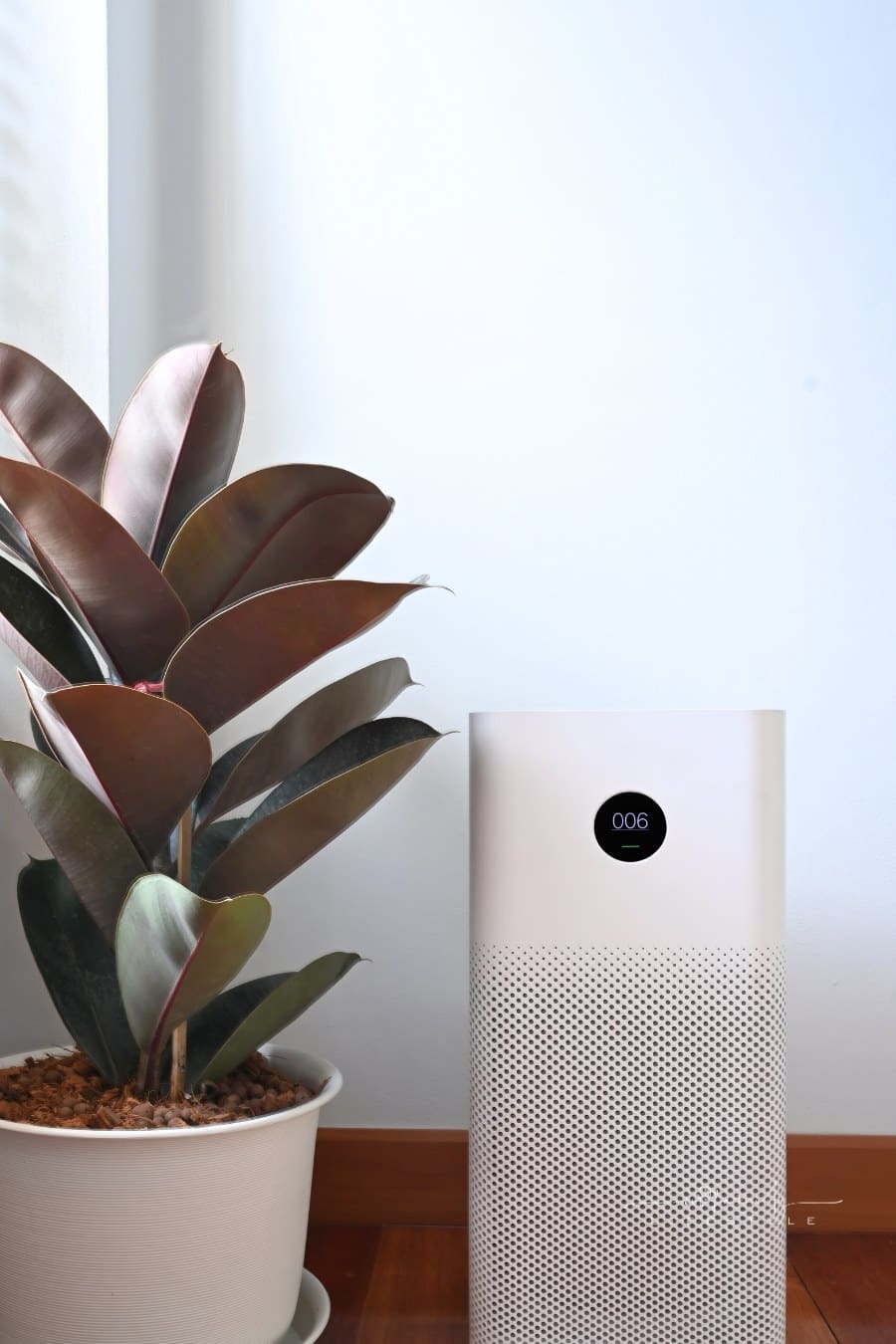 Air Purifier in Home. Smart Home Devices