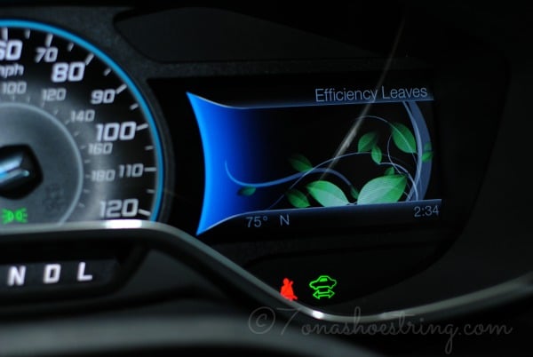 CMAX energi Efficiency Leaves