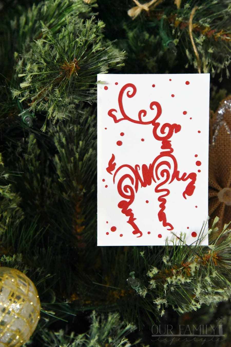 Cricut Access Designs