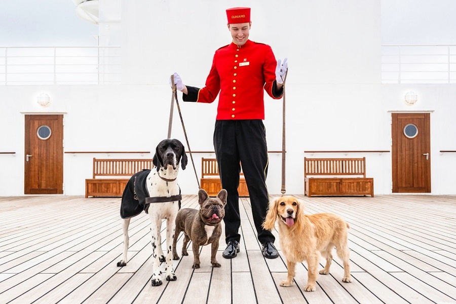 Cunard Kennels