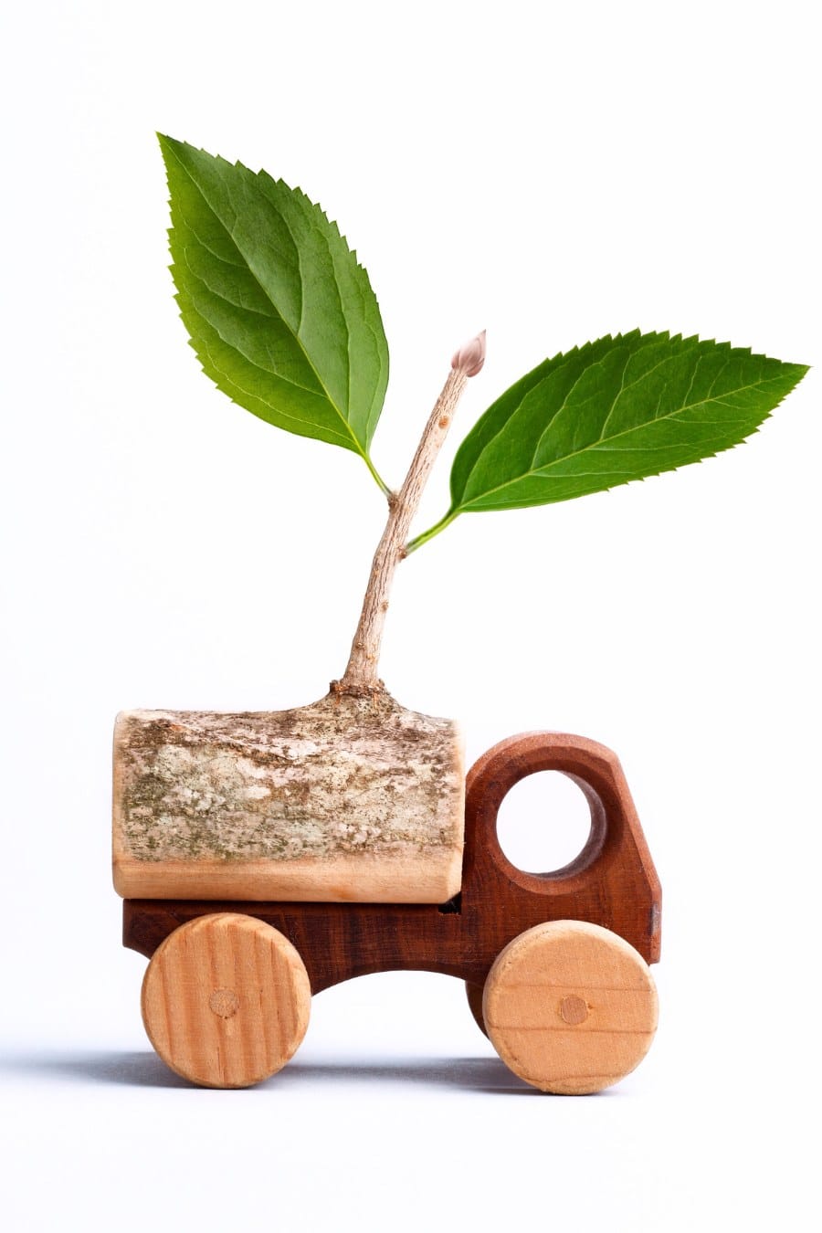 Eco Friendly Transportation Concept