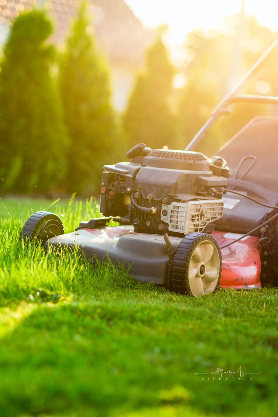 Lawn mower on green grass at sunset