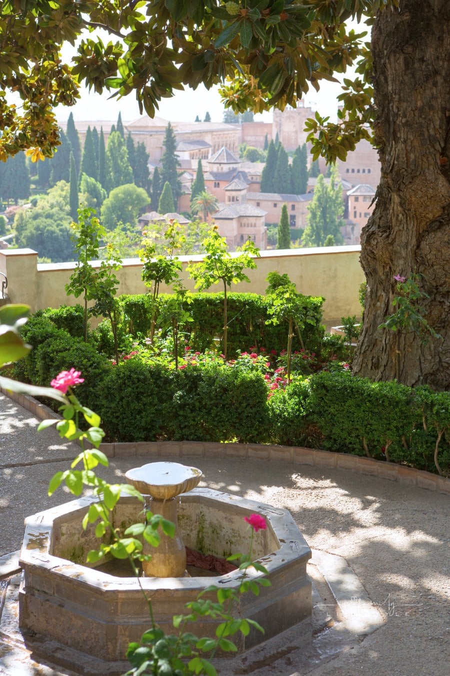 View from Generalife Gardens to Alhambra, Granada, Andalusia, Spain