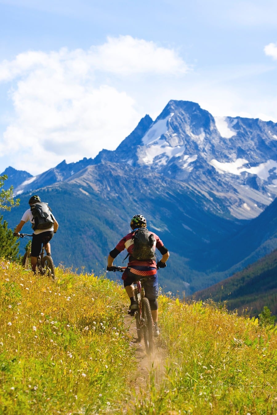 two people mountain biking through field on mountain range