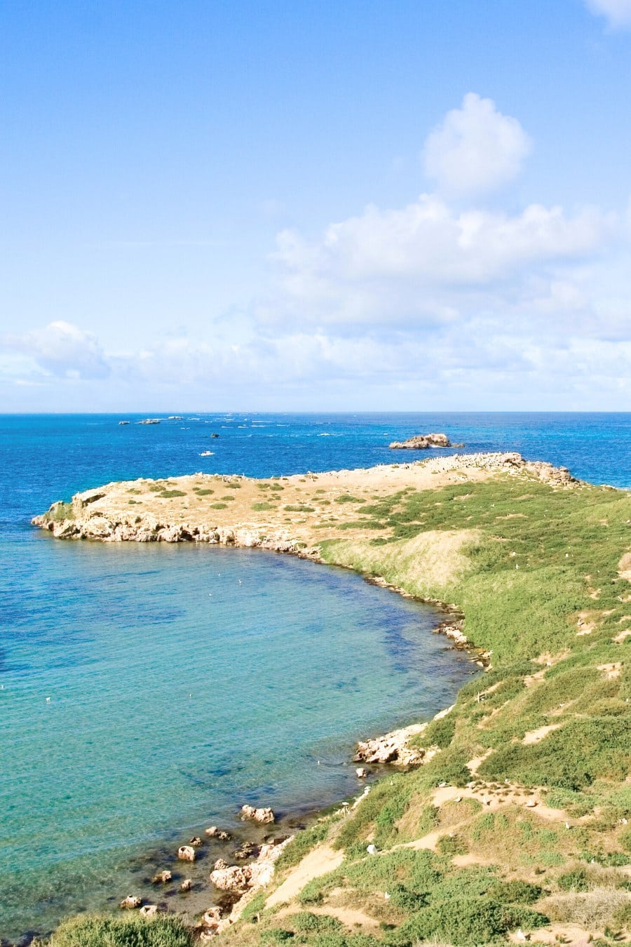 Penguin Island Western Australia