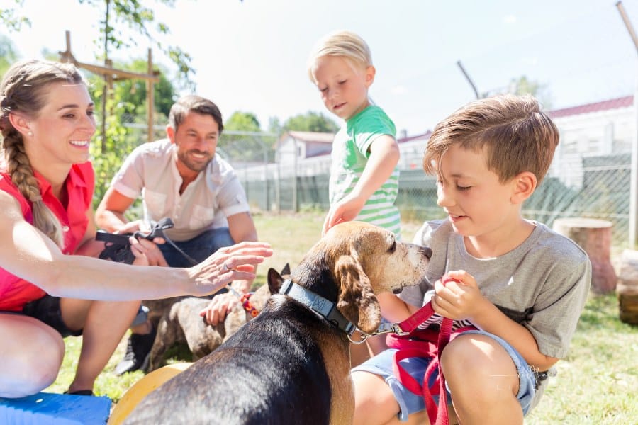 Family Adopting a Dog from an Animal Shelter