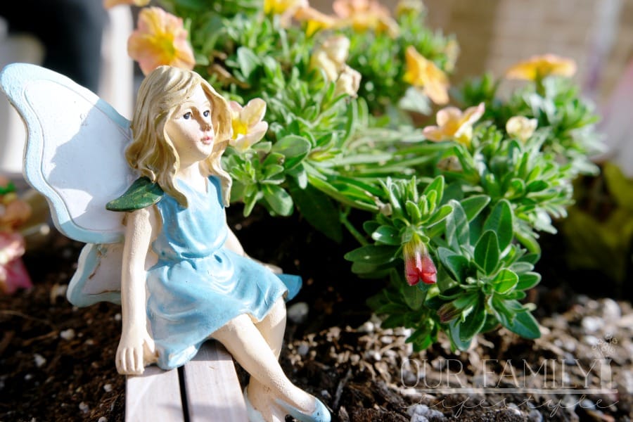 fairy overlooking her garden