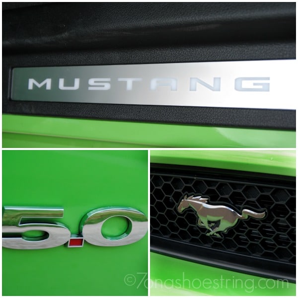 Gotta Have It Green 2014 Mustang GT