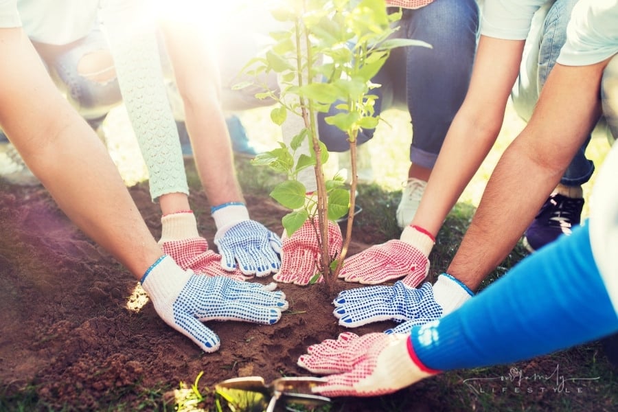 8 Heartfelt Ways To Honor The Memory Of Your Deceased Loved One