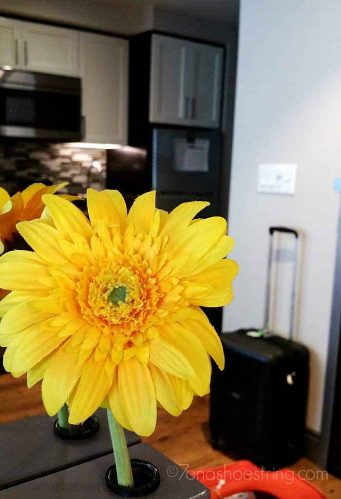 Homewood Suites little things big difference