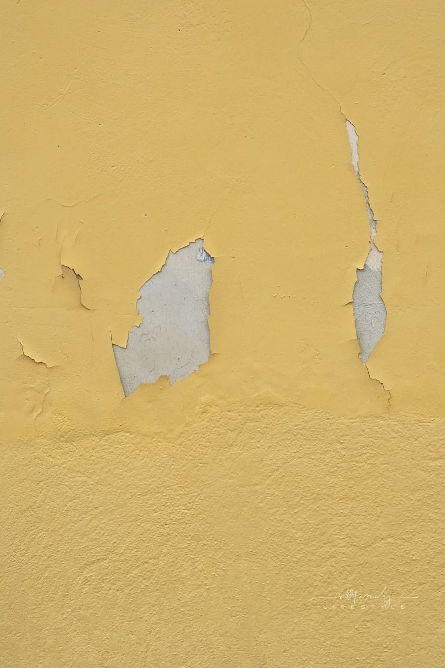 Damage caused by damp and moisture on a wall