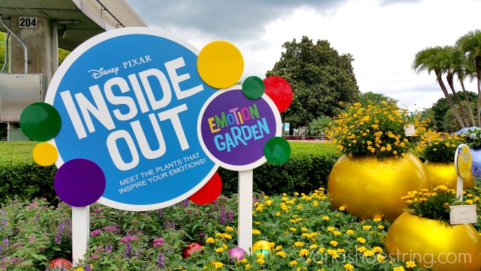 Inside Out Emotion Garden