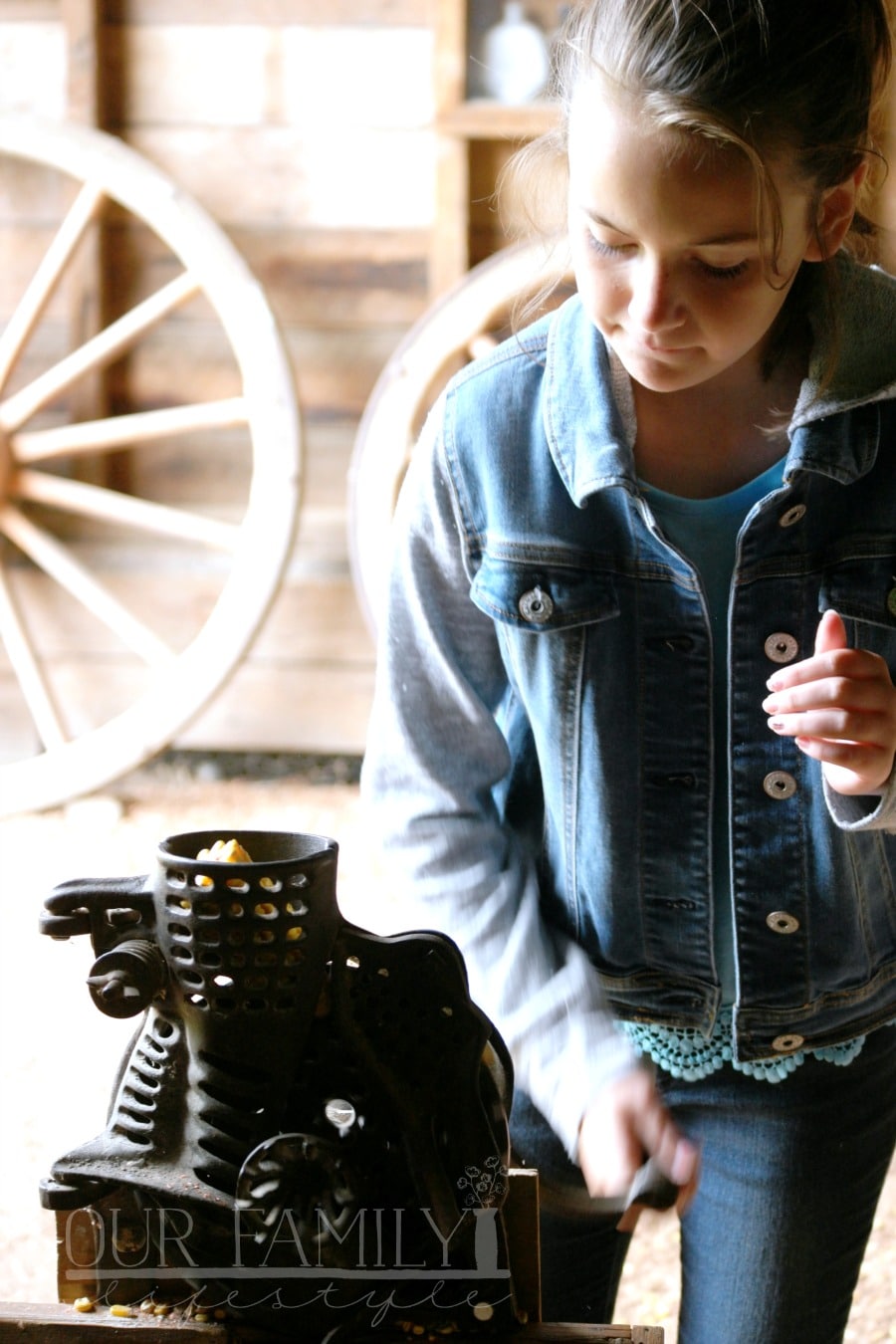 learning about food on a farm