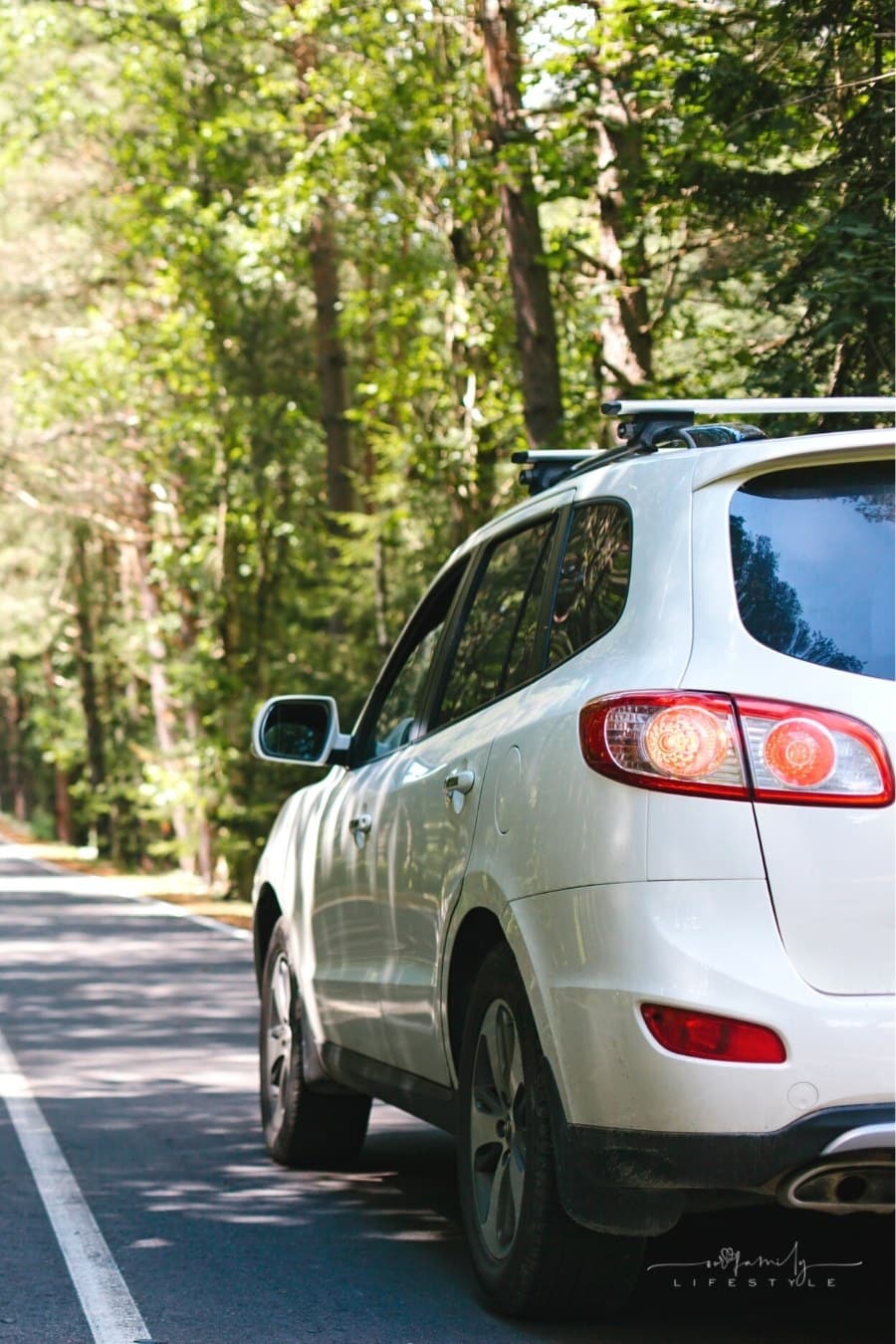 car on a forest road among trees