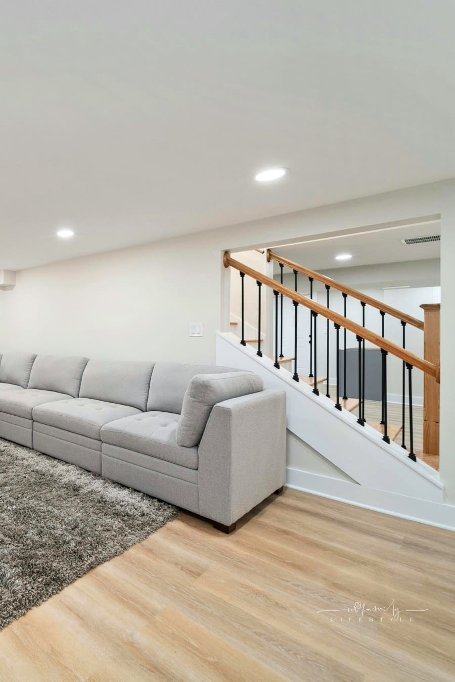 Modern Cozy Basement Living Room Interior Design